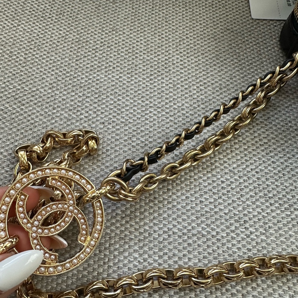 Chanel Camera Case - Picture 14 of 16
